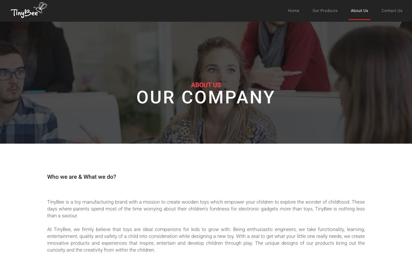 About Us — hero titled 'Our Company' above the 'Who we are & What we do?' brand copy